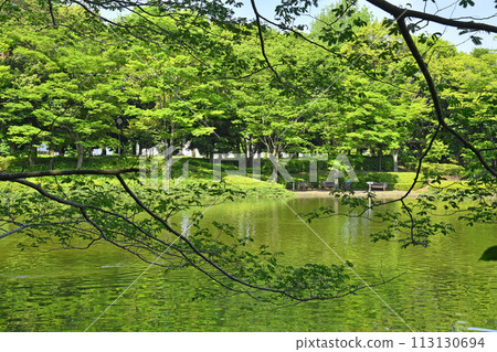 筑波中央公園 茨城縣筑波市 113130694