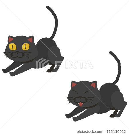 Growing black cat 113130912