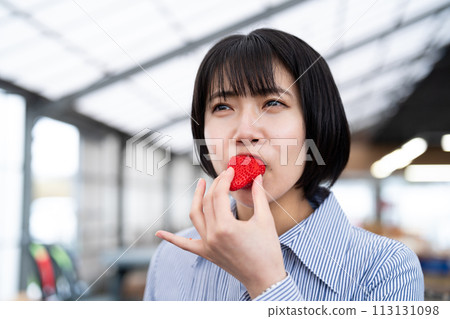 Young woman eating strawberries Young woman eating strawberries 113131098