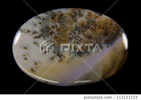 Dendritic Agate A stone that harbors landscapes 113131153