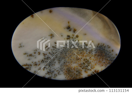 Dendritic Agate A stone that harbors landscapes Dendritic Agate A stone that harbors landscapes 113131154