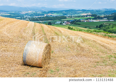 Summer in Hokkaido: northern land and barley rolls (Hokkaido image) Summer in Hokkaido: northern land and barley rolls (Hokkaido image) 113131488