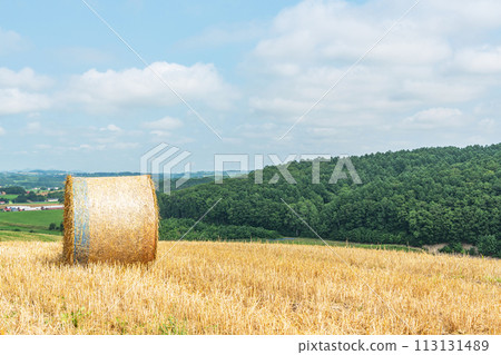 Summer in Hokkaido: northern land and barley rolls (Hokkaido image) Summer in Hokkaido: northern land and barley rolls (Hokkaido image) 113131489