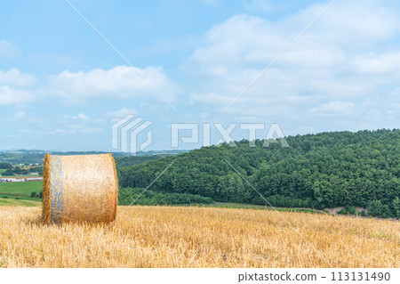 Summer in Hokkaido: northern land and barley rolls (Hokkaido image) Summer in Hokkaido: northern land and barley rolls (Hokkaido image) 113131490