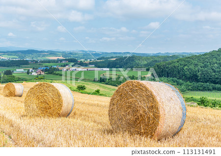 Summer in Hokkaido: northern land and barley rolls (Hokkaido image) 113131491