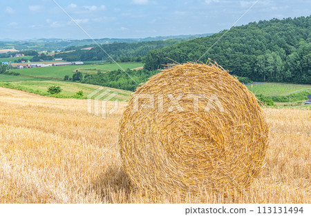Summer in Hokkaido: northern land and barley rolls (Hokkaido image) Summer in Hokkaido: northern land and barley rolls (Hokkaido image) 113131494