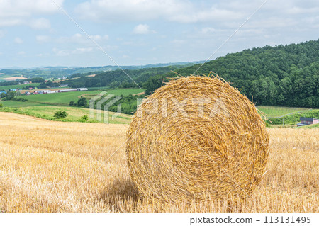 Summer in Hokkaido: northern land and barley rolls (Hokkaido image) Summer in Hokkaido: northern land and barley rolls (Hokkaido image) 113131495