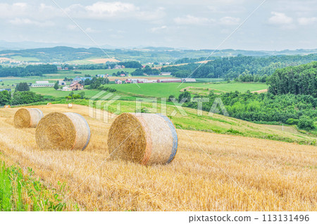 Summer in Hokkaido: northern land and barley rolls (Hokkaido image) Summer in Hokkaido: northern land and barley rolls (Hokkaido image) 113131496