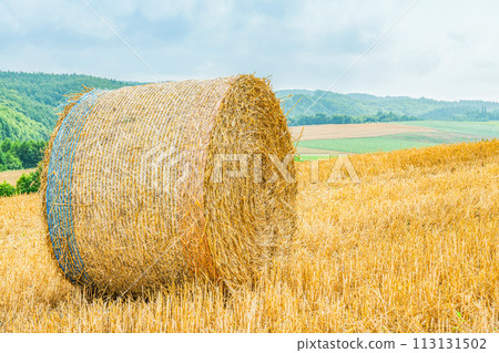 Summer in Hokkaido: northern land and barley rolls (Hokkaido image) Summer in Hokkaido: northern land and barley rolls (Hokkaido image) 113131502