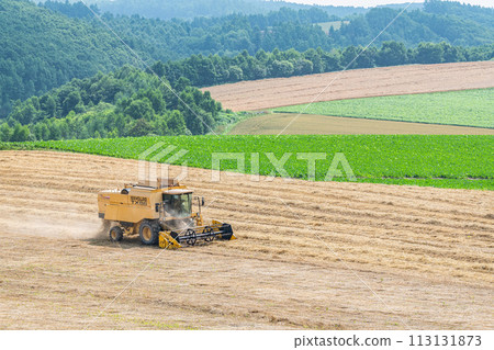 Summer in Hokkaido: Machines working in a large field (Hokkaido image) 113131873