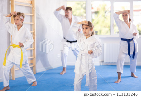 Family with children training karate techniques Family with children training karate techniques 113133246