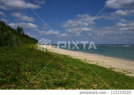 Wide beach 113133520