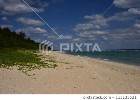 Beautiful coastline 113133521