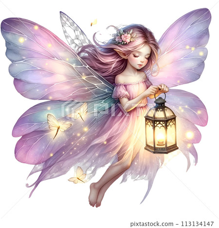 Fairy with lantern 113134147