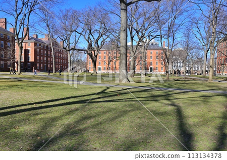 Around Harvard University Around Harvard University 113134378