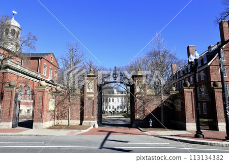 Around Harvard University Around Harvard University 113134382