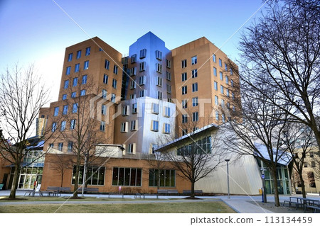 Massachusetts Institute of Technology 113134459