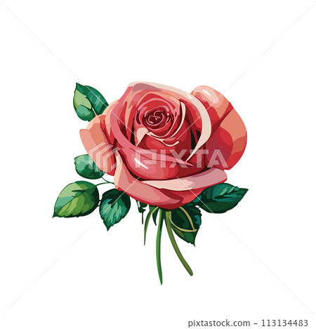 一朵紅色玫瑰花例證 113134483