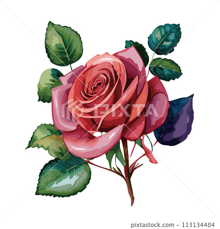 一朵紅色玫瑰花例證 113134484