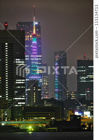 Toyosu Park also has a night view 113134713