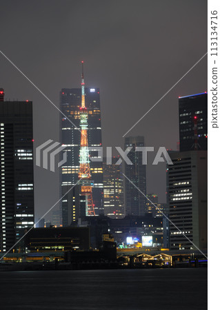Toyosu Park also has a night view 113134716