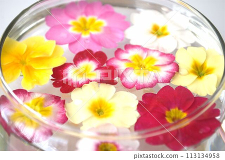 漂浮在玻璃碗中的食用花 113134958