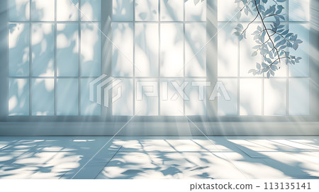Sunlight streams into the building, creating shadows on the flooring 113135141