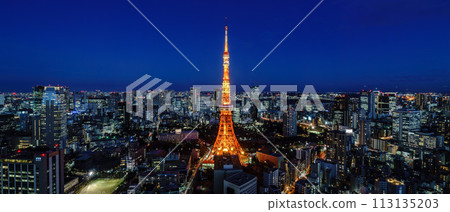 Tokyo cityscape and Tokyo Tower seen from Azabudai Hills 113135203