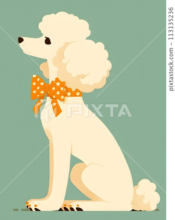 A white poodle with an orange bow tie sits down in a cute gesture A white poodle with an orange bow tie sits down in a cute gesture 113135236