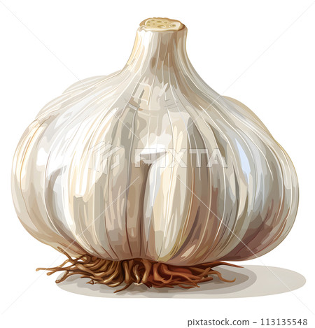 a close up of a garlic bulb on a white background 113135548