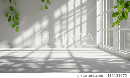 Sunlight filters through windows, creating shadows on the floor 113135675