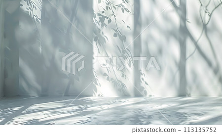 Sunlight filters through trees, casting shadows on the wall Sunlight filters through trees, casting shadows on the wall 113135752
