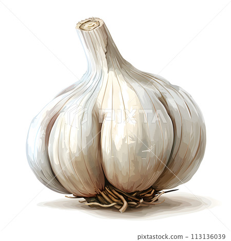 a close up of a garlic bulb on a white background a close up of a garlic bulb on a white background 113136039