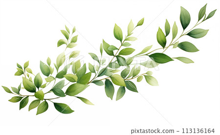 Watercolor card of green branches and leaves Watercolor card of green branches and leaves 113136164