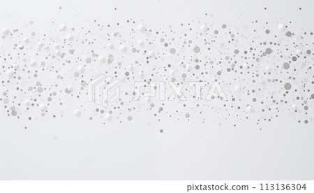 White background with small silver dots 113136304