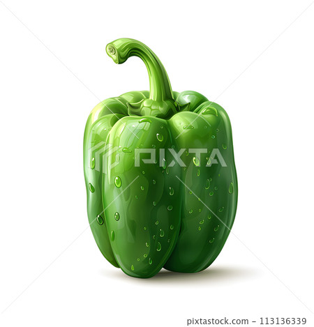 Fresh green bell pepper with water droplets on a white background Fresh green bell pepper with water droplets on a white background 113136339