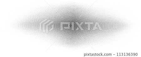 Radial halftone comic grunge texture. Abstract dotted circle line background. Black pop art dot gradient backdrop. Retro cartoon for poster, overlay, cover, print. Vector noise grain pattern wallpaper 113136390