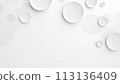 White abstract background with circles. 113136409