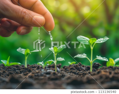 A farmer's hand gently waters a young sprout, symbolizing growth, care, and sustainability in agriculture A farmer's hand gently waters a young sprout, symbolizing growth, care, and sustainability in agriculture 113136540