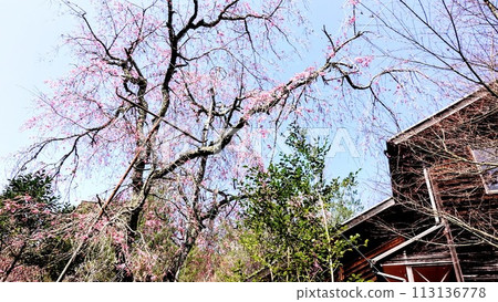 科霍克自然公園 科霍克自然公園 113136778