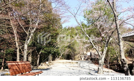 科霍克自然公園 113136785