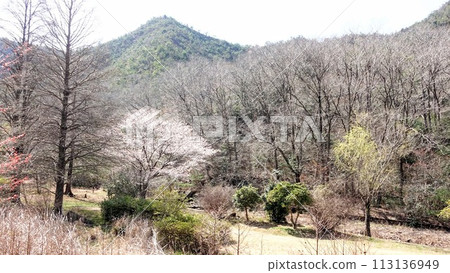 科霍克自然公園 113136949