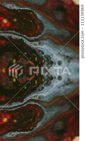 Ink fractal. Cyber portal. Defocused red yellow blue black color shiny texture acrylic fluid drop mix symmetrical futuristic design abstract art background. 113136969