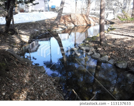 trees reflected in the water source 113137633