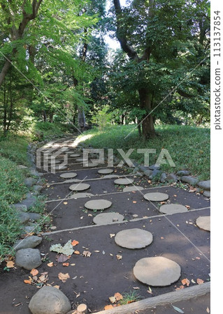 東京港區南麻布有棲川紀念公園內鋪有踏腳石的人行道 113137854