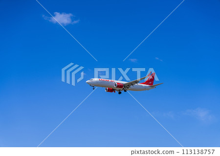 《Airplane》Boeing Boeing 737 MAX > 737 MAX 8 《Airplane》Boeing Boeing 737 MAX > 737 MAX 8 113138757