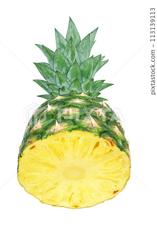 Pineapple illustration realistic 113139113