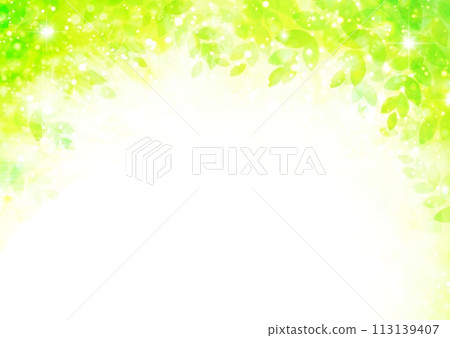 清新的綠色圖像水彩風格背景 113139407