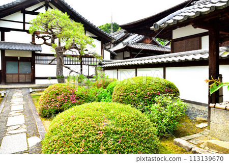 Kyoto City Sennyuji Temple Annex Unryuin Fresh Green 113139670