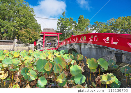 [葵阿蘇神社] 熊本縣人吉市上尾井町 113139793